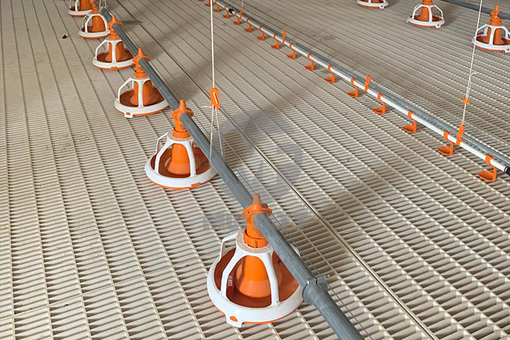 FRP molded grating used as flooring in a chicken farm to facilitate waste management, featuring automated feeding systems.