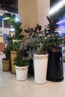 Indoor FRP Planter Pots for Shopping Mall Landscaping – Mui Fatt’s lightweight and long-lasting FRP pots creating a lush indoor green space at Sunway Pyramid.