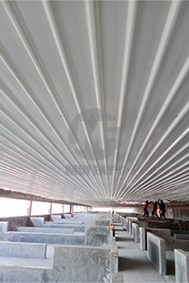 Pig farm interior after FRP roofing installation, fully covered to protect metal trusses and purlins from corrosion and rust.