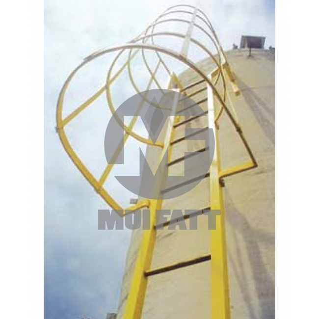 FRP Ladder System